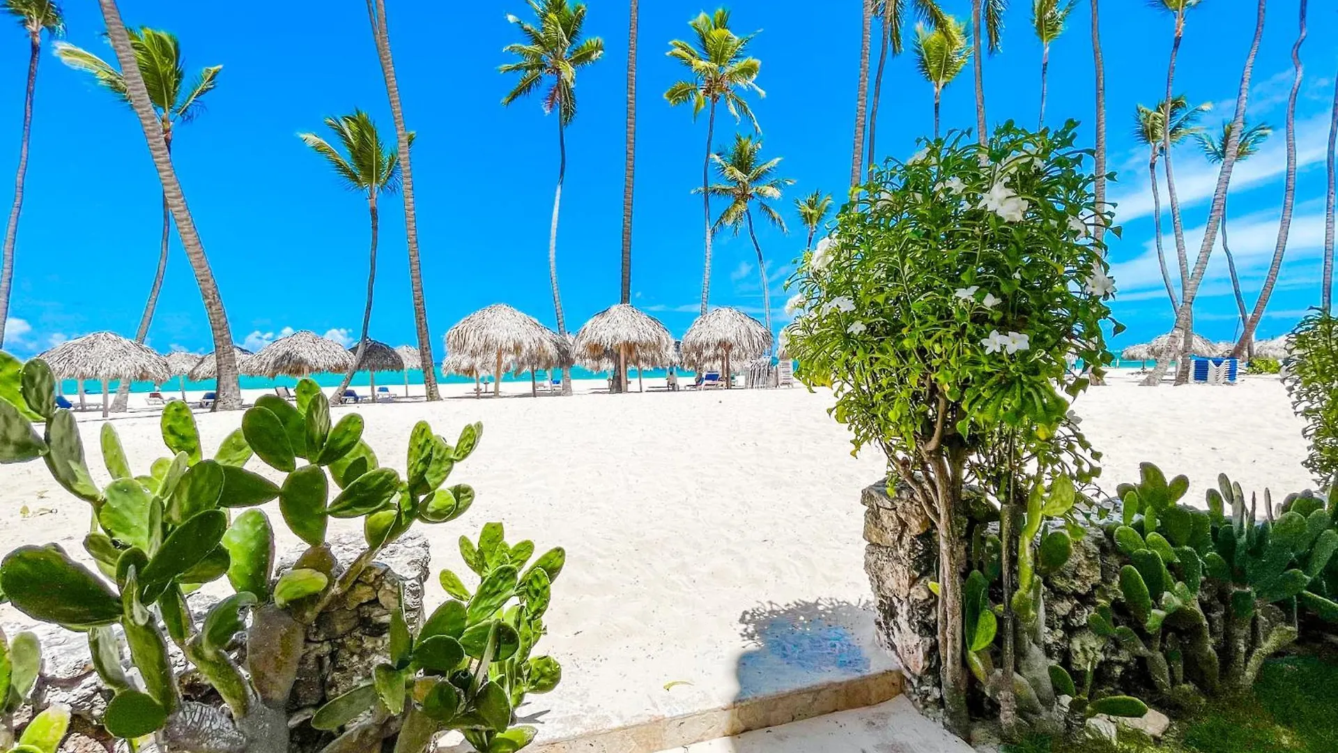 Beach Villas & Apartments Ocean & Garden View Wifi Bbq Bavaro Beach Club & Spa Punta Cana